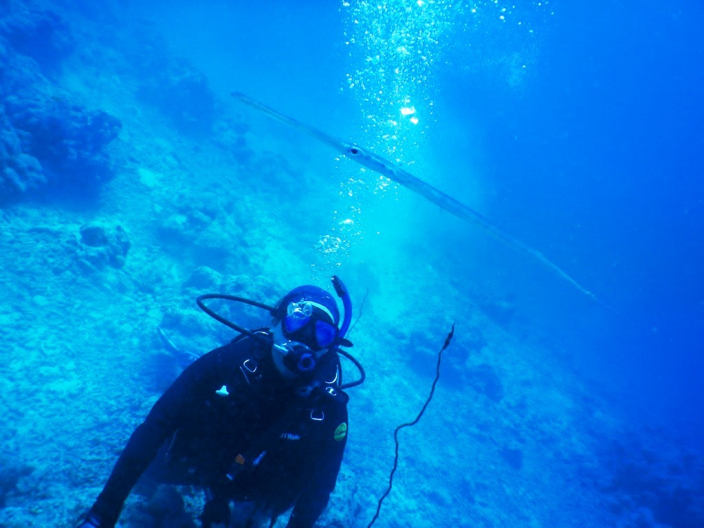 a0189838_08482830.jpg