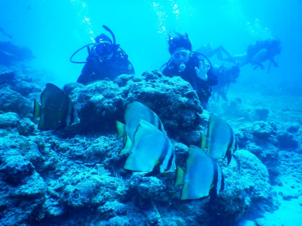 a0189838_08551931.jpg