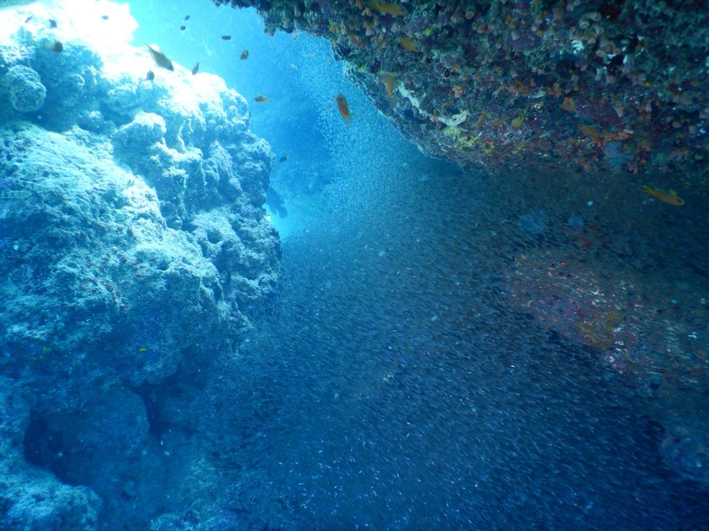 a0189838_08555646.jpg