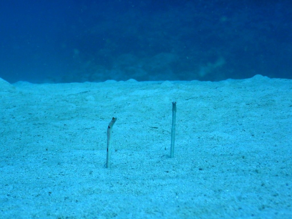 a0189838_08565842.jpg
