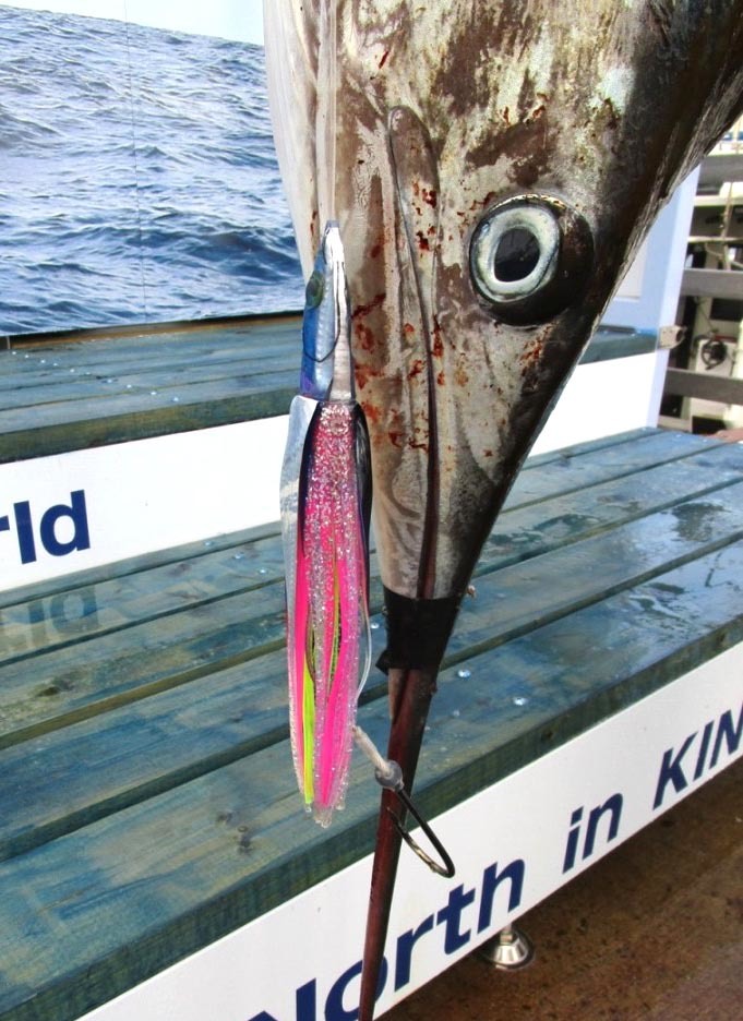 秋刀魚定食残りわずかとなりました。_f0009039_16485896.jpg