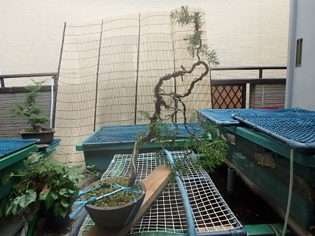 f0334143_2316369.jpg