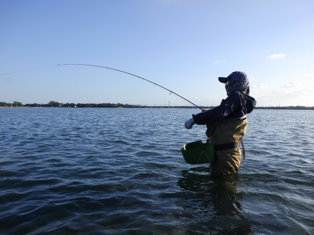 浜名湖はもうパラダイスッス！_f0055244_15461636.jpg