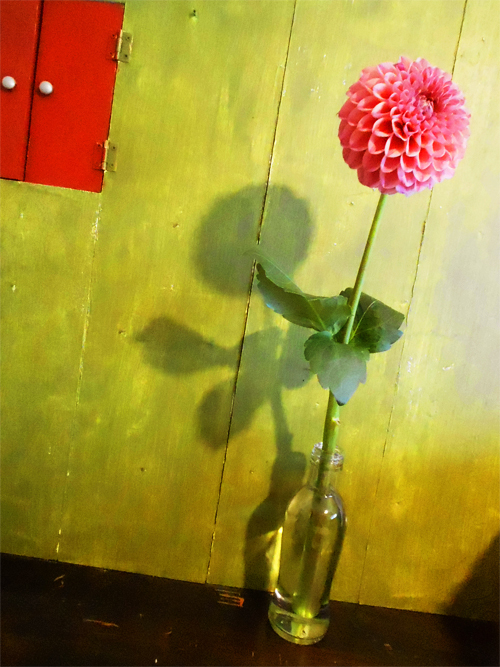 お祝いのお花_e0256951_03291511.jpg