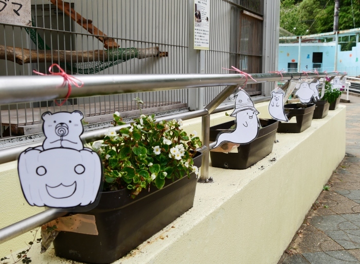 　　お城の動物園のハッピー・ハロウイン　　２０１９-１０-２９　００：００ 　_b0093754_22153359.jpg