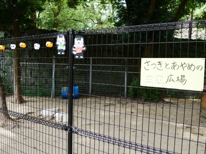 　　お城の動物園のハッピー・ハロウイン　　２０１９-１０-２９　００：００ 　_b0093754_22175042.jpg