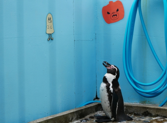 　　お城の動物園のハッピー・ハロウイン　　２０１９-１０-２９　００：００ 　_b0093754_22181831.jpg