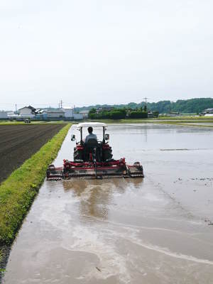 七城米　長尾農園　令和元年度の新米を先行予約受付中!!　美しすぎる田んぼの稲刈り2019(後編)_a0254656_18102880.jpg