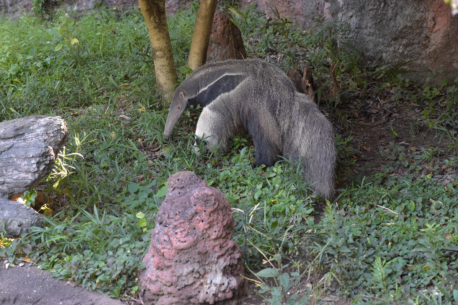 b0023856_07133084.jpg