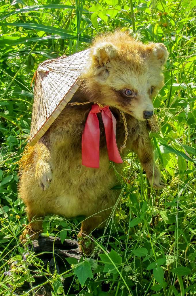 毛皮、テン、タヌキ、キツネの襟巻き 本物】キツネのマフラー