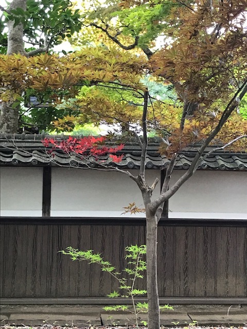 f0256164_14094521.jpg