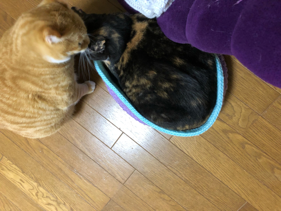 備えあっても憂いある_e0355177_14564208.jpg
