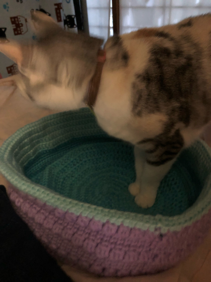 備えあっても憂いある_e0355177_14590776.jpg