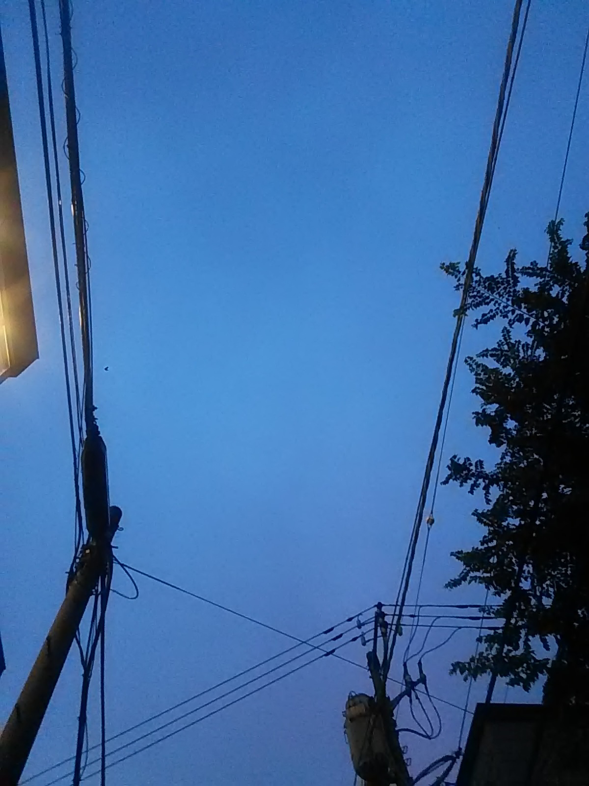 ずっと思ってたけど・・・_e0188079_17214312.jpg