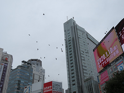 b0056983_14480379.jpg