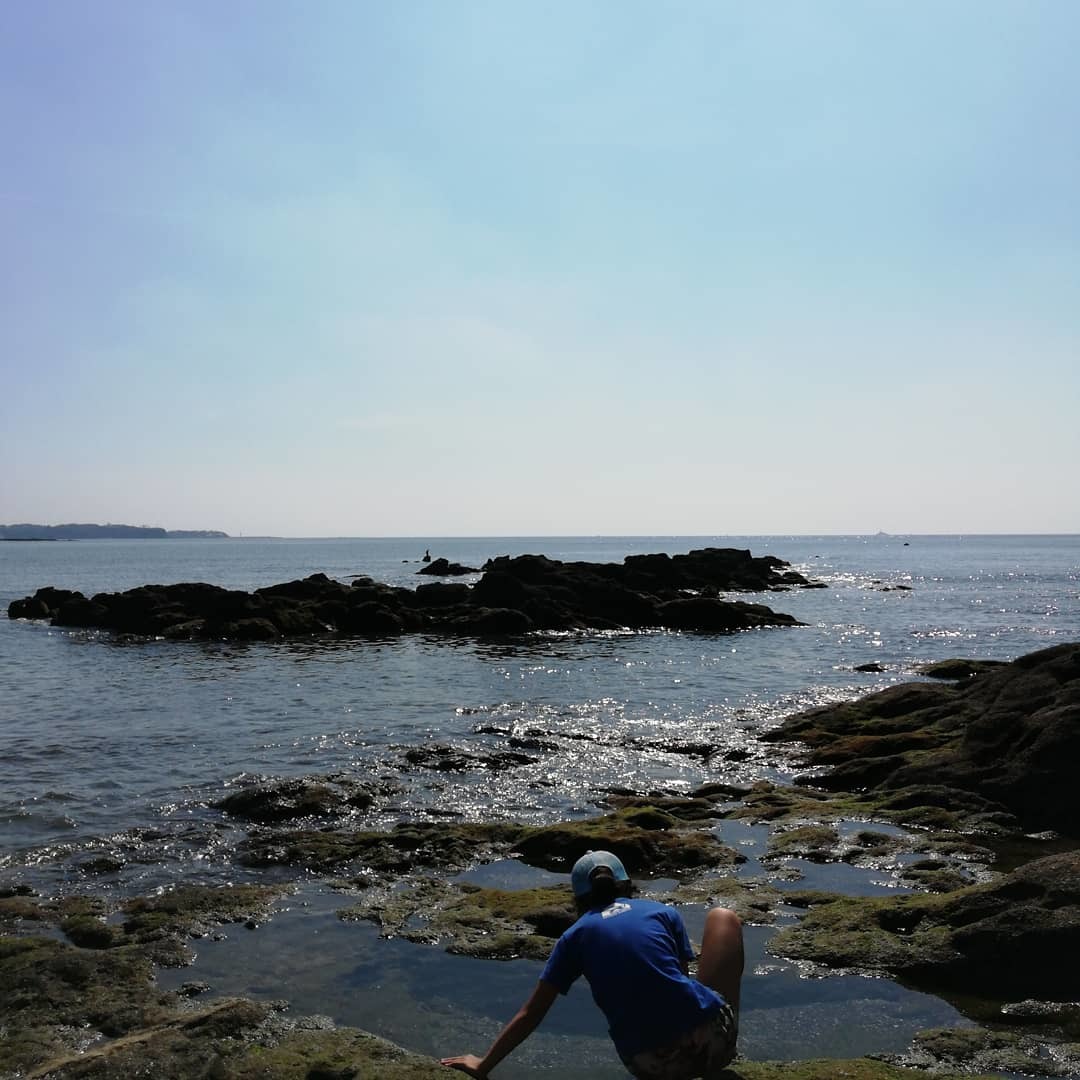 三浦半島 和田長浜海岸にて磯遊び Mari Colle