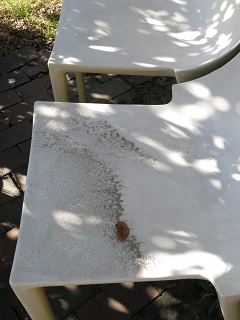 e0130185_11584244.jpg