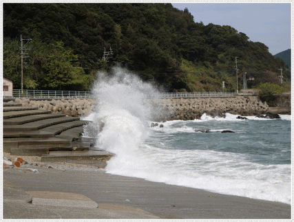 b0175688_19452409.gif