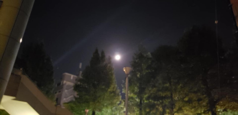 c0186691_09400011.jpg