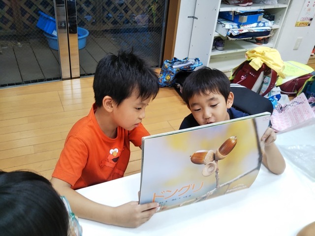 f0225094_13184519.jpeg