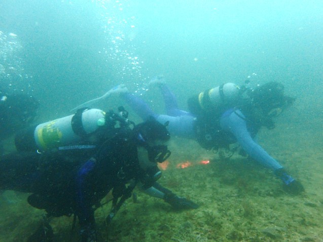 e0115199_13591770.jpg