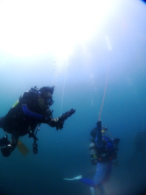 e0115199_14040254.jpg