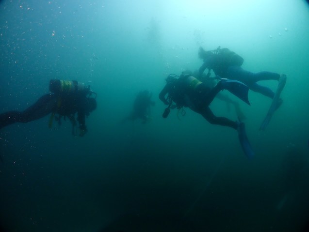 e0115199_14241109.jpg