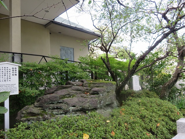 c0187004_11151224.jpg