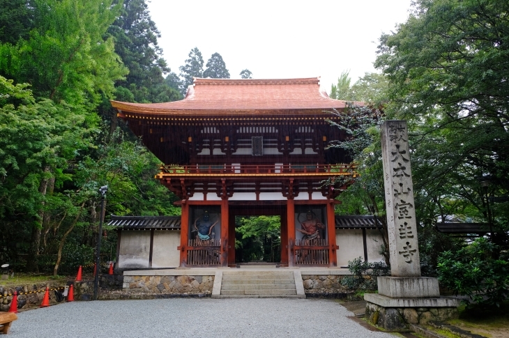 奈良の旅 \'19_e0000910_18284893.jpg