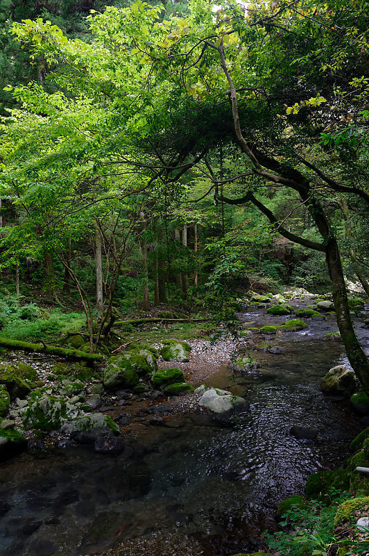 滋賀県ツーリング　河内の風穴_f0032011_15490063.jpg