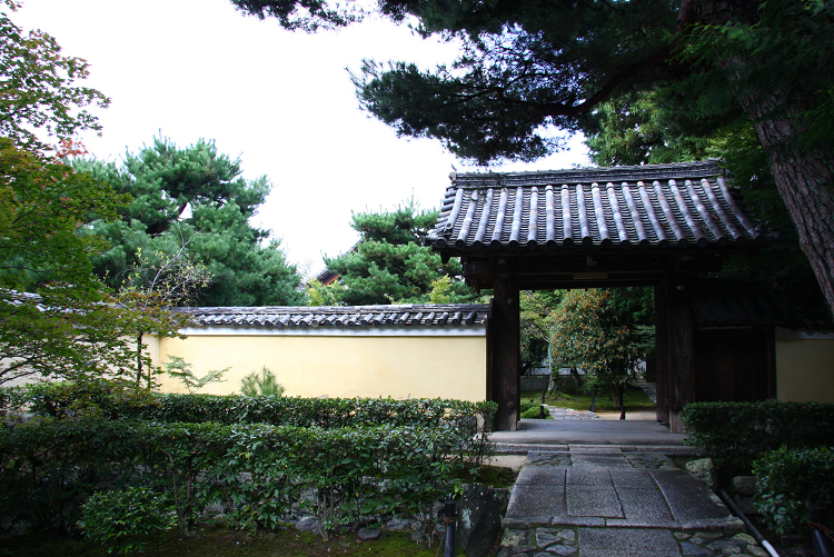 京都回顧 －鹿王院の金木犀－_b0169330_16354571.jpg