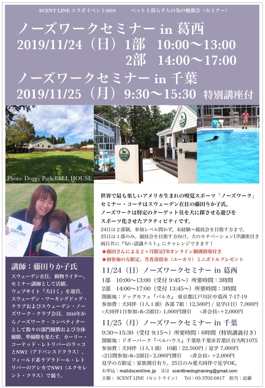 11/24(日)ノーズワークセミナー&いぬめし相談会同時開催!_c0099133_01130391.jpg