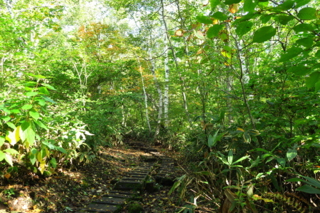 火打山を見ながら天狗の庭まで　写真山行_c0218841_21142148.jpg