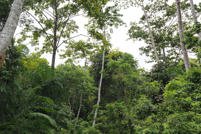 d0149245_18424015.jpg