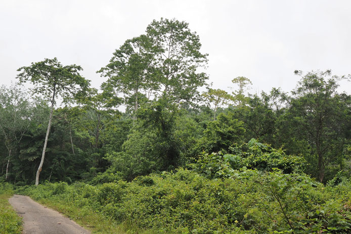 d0149245_18424573.jpg
