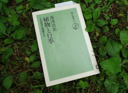 海石榴市 つばいち 偶然みつけた本 道草ギャラリー