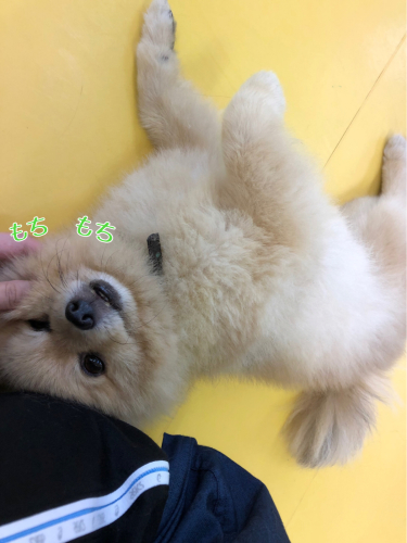 何が好きかな??_f0357682_12243716.jpg