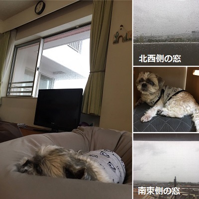 台風19号通過。_f0372998_18475552.jpg