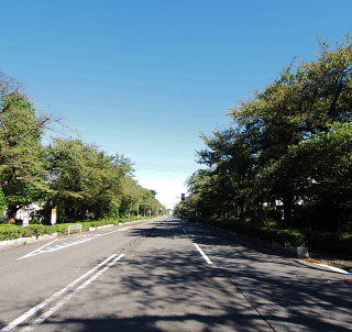 c0039501_10333946.jpg