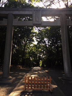 c0039501_14011102.jpeg