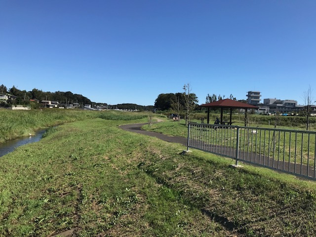 大きな被害もなく_f0242002_16035167.jpg