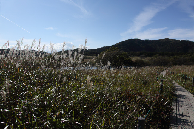 八島湿原⑤ 木道を歩く _a0357206_22025838.jpg