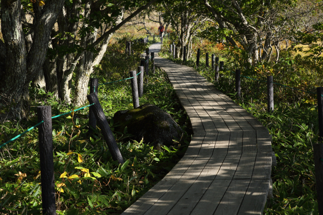八島湿原⑤ 木道を歩く _a0357206_22035134.jpg