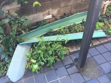 屋根が飛んでくるほど、すごい台風でした_d0020309_07543738.jpg