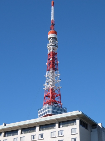 風で建物が揺れてます。地震でも揺れてる！_e0273326_14352050.jpg