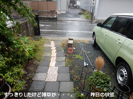 e0033229_1718242.jpg