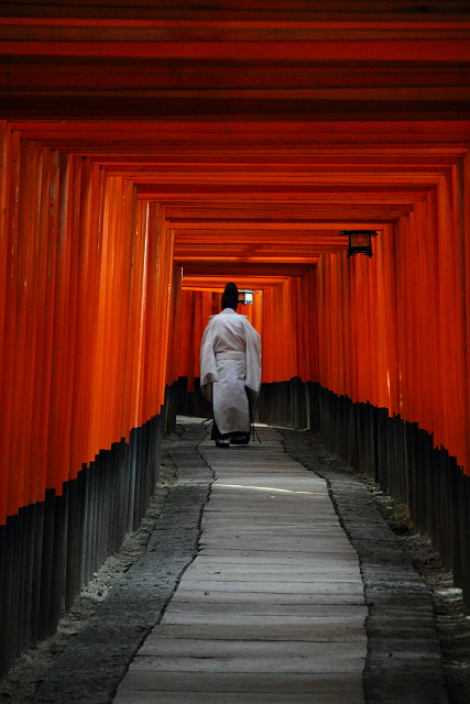 京都回顧 －伏見稲荷大社－_b0169330_12151290.jpg