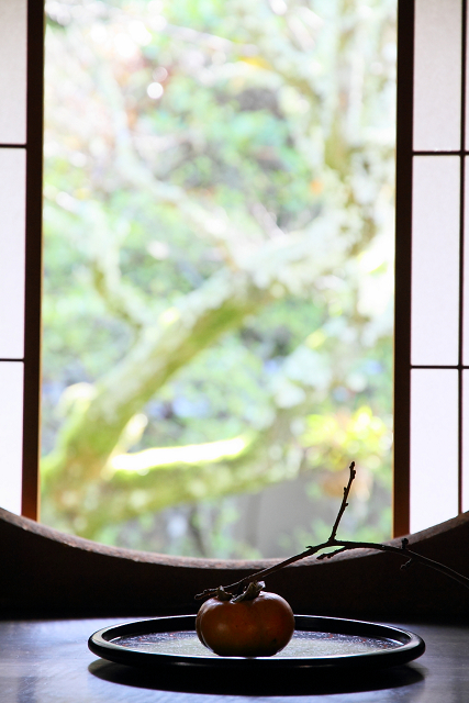京都回顧 －泉涌寺・雲龍院（後編）－_b0169330_21105344.jpg