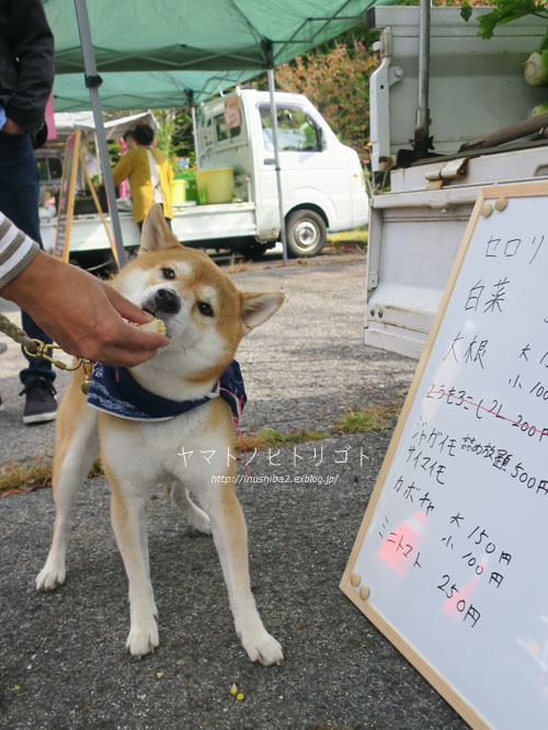 開田高原そば祭り_e0394031_06251007.jpg
