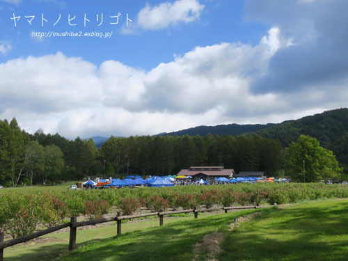 開田高原そば祭り_e0394031_06251416.jpg